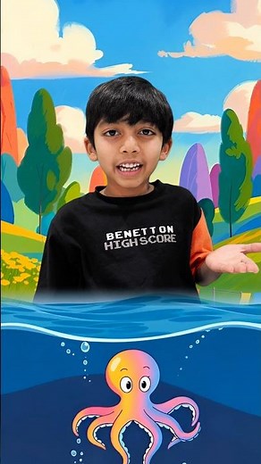 Learn to Sort Animals & Finding Their Homes With Jay & Neil!