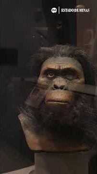 PUC Minas presents an exhibition on the evolution of humanity.