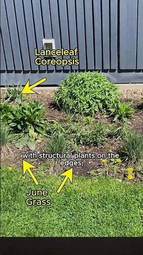 How I Transformed My Yard with Over 1,000 Native Plants | Pt 3