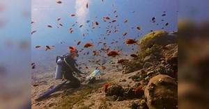 UAE: World's first underwater artist paints marine life from depths of the ocean
