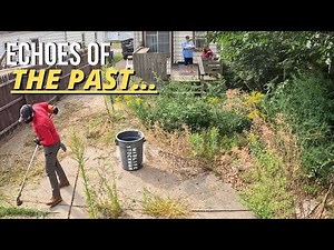 Thought I Was Clearing a Yard… But What I Found Was a Family’s Loss