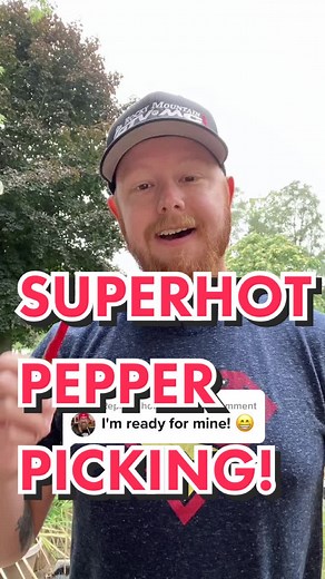 Replying to @hotsauceboss SUPERHOT PEPPERS! #carolinareaper #scorpionpepper #ghostpepper #spicekingdom #hot #spiceking #pepperking #spicypeppers #hotpeppers #superhot #spicy #spice #real #letsgo #spicecreator