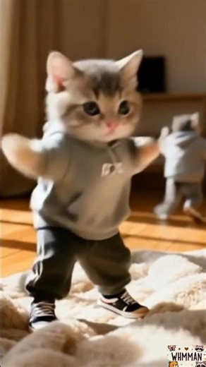 Hip-Hop Dancing Little Animal | 擬人化動物的街舞時刻 🐾🎵🧢