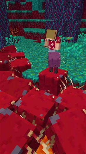 240 Minecraft Facts You Didn't Know! @Bubuplayz