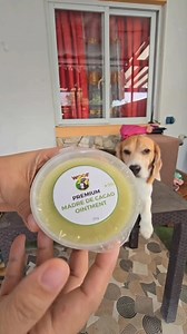 215 reactions · 7 comments | WOOF HEALING OINTMENT  ✅Pure organic and no chemical ingredients ✅Safe and effective to any breed of dogs and cats ✅Hypoallergenic “Because Your Pet Deserves Quality Care, Choose WOOF MDC Products.” #WOOF #woofmdc #pet #petlover #dog #cat #furbaby #furparent | WOOF Premium Organic Dog Shampoo and Soap | Facebook