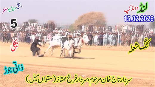 Rangli video center on Reels