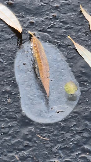 2 Schritte Berlin ❤️ Copyright Boris Peiffer . . . www.borispfeiffer.de www.randnotizen.online www.verlag-akademie-der-abenteuer.de #borispfeiffer #verlagakademie #akademie #akademiederabenteuer #pfeiffer #paintressandpoet #gedicht #kinderbuch #autor3???kids #pfeifferverlag #berlin #randnotiz #glosse #kids #berlin #autor #schriftsteller #momentaufnahme #alltagsbeobachtung #lebensmoment #dichtung #kinderkrimi #gravitationen | Boris Pfeiffer