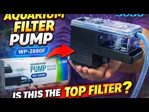 Aquarium Water Crystal Clear? | SOBO Filter Pump Tested!