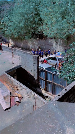 🕊️🕊️🕊️