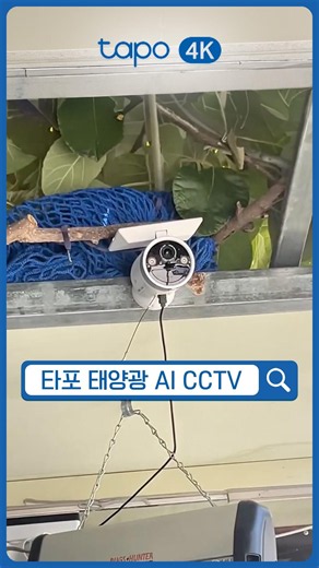 Installing CCTV for My House Is So Easy, Right? | Tapo C465