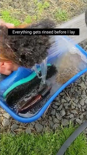 How to Clean your horse brushes
