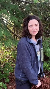 29K views · 633 reactions | Why Japanese people call “green light” blue? | PonPon Online Japanese Language School | Facebook