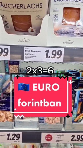 EURO to Forint Conversion Explained