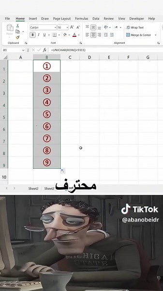 تقنيات الترقيم المميز في اكسل للمبتدئين والمحترفين