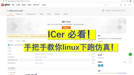 老奶奶都能学会！icer初学者必看，大厂芯片验证工程师手把手教你们跑仿真