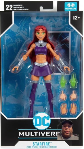 Starfire Teen Titans Animated Series Dc Multiverse