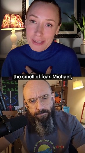The Science Behind the Smell of Christmas Trees