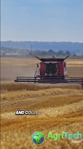 The Efficiency Behind Barley Harvest Machines #farming
