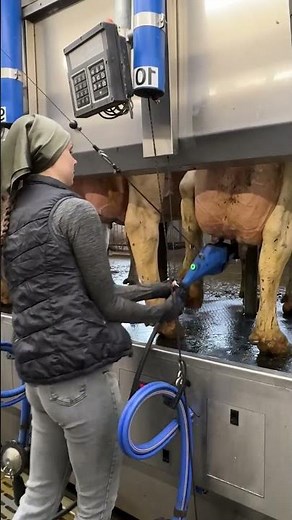 Farm Girl Cleans the Barn for Hours 🐄 Satisfying Work