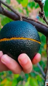 108K views · 657 reactions | Videos de frutas increíbles  | Amazing Videos | Facebook