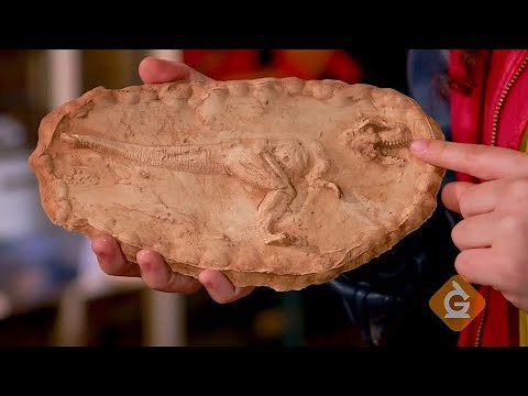 Make Your Own Fossil | DIY with Zoe