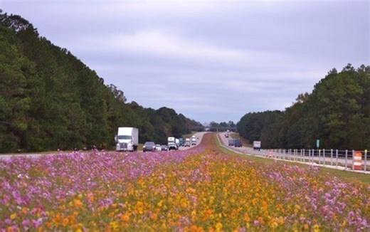 I-16 cleared for safety