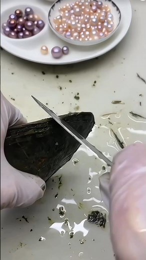 "Finding Real Pearls Inside Shells"#oyster #pearl #pearloyster