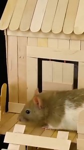 3.1K views · 22 reactions | #diy #craft #engineering #creation #artwork #wtf | The Q | Facebook