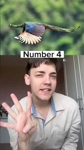 นี่คือ 5 สิ่งแปลกที่คุณไม่เคยเห็นตลอดชีวิต 😳 #ข่าวใหม่ #new #viral #shorts