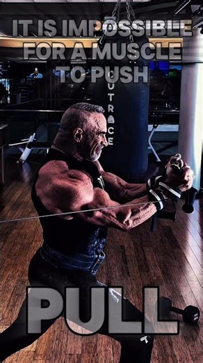 The reality of muscular contraction #pull #muscle #motivation #workouttips #workout