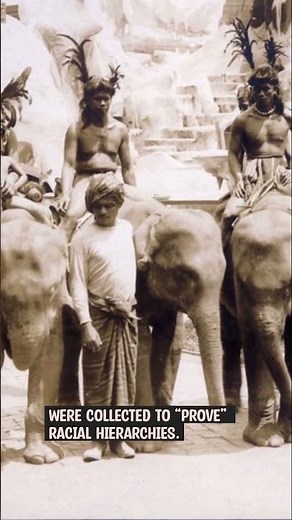 🧍 Human Zoos: When People Were Exhibits.