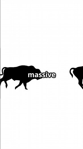 The Surprising Speed of American Bison!