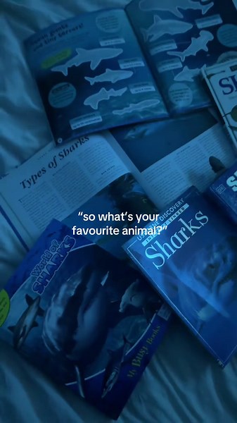 Shark Facts: Everything You Need to Know