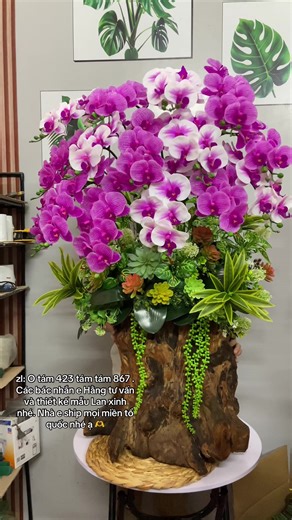 Lan hồ điệp cao su cao cấp cắm trên gỗ lũa làm quà tặng, trang trí nhà cửa….#lanhodiepgia #binhhoalantrangtriphongkhach #hoalanhodiepcaosu #hoalangia #hoatet2026