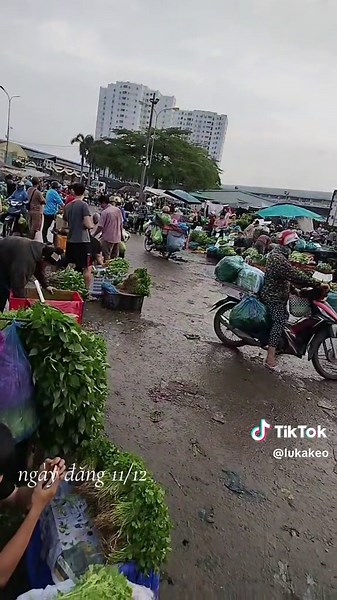 Khám Phá Chợ Đầu Mối Hóc Môn Năm 2025