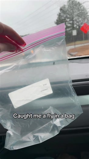 April Williams (@aprilwilliamz)’s videos with original sound - April Williams