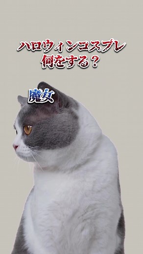 #ハロウィン #EffectHouse #フィルター #エフェクト