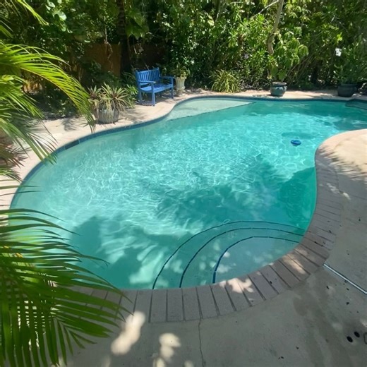 I Keep Pools Clean, Not Green. 😎 | Y Pools