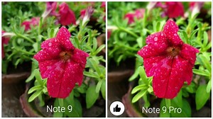 国产千元机：红米Note 9 VS 红米Note 9 Pro拍照对比，视频下方有链接