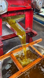 The Oil extracting in organic way ✨ | Machine In Tech