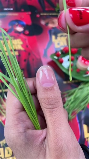 28K views · 164 reactions | Grass Nail  for ＂Ladybug & Cat Noir： The Movie＂ on @Netflix  Encapsulated Wheat Grass Nail with Wrinkle Crinkled Stiletto & Duck Shaped Nail Art #nails #nailart #nailtutorial #satisfying #beautyhacks #netflix | ละครไทย Ch3 | Facebook
