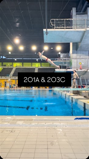 WAY OF THE BOARD | Diving 🇨🇦 on Instagram: "201A - 203C #diving #springboarddiving #training #athletelife #wayoftheboard"