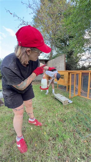 Upgraded Chicken Run Ideas: Prevent Muddy Chicken Runs This Winter