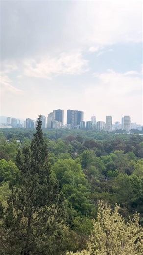 El bosque de Chapultepec en la Ciudad de México 🇲🇽 #mexico #travel #viral #trending #fyp #visit