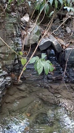 Stream Sounds Short/Beautiful Nature Sounds/Relaxing Mountain Waterfall/Calming River flowing,ASMR.