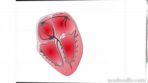 112K views · 124 reactions | Bite-sized medical tutorial videos...