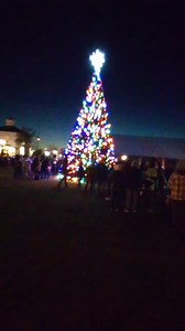 The Holiday Season is now officially underway. The Tree has been lit! # Chincoteague Va | Robert Swartz
