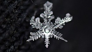 Here's how to check your power outage status in Evansville, Henderson areas