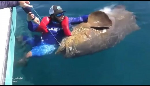 Monster Mike Fishing Funniest Moments Compilation