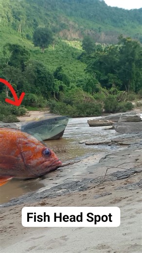 Amazing head formation markings #everyoneシ゚ #fbreels #reels #virals #treasure #everyone #trending | JMD Compass